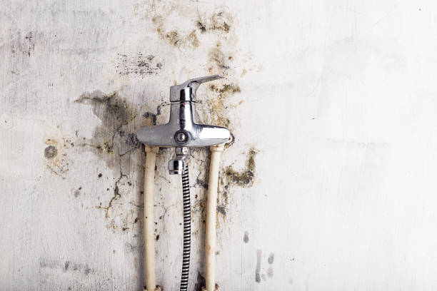 Best HVAC Mold Remediation in Stanfield, NC