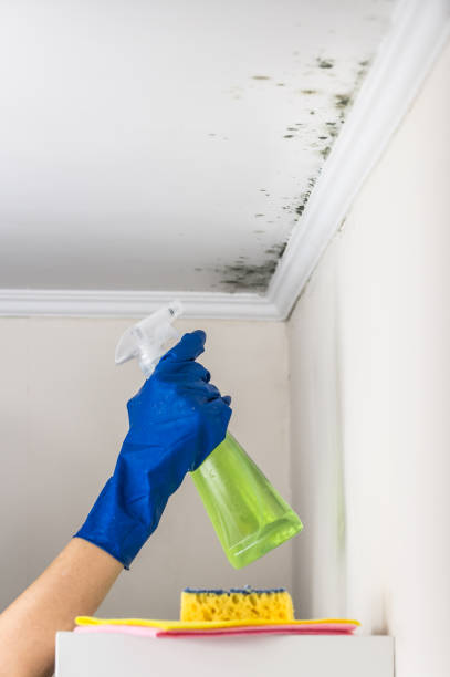 Best Post-Remediation Services in Stanfield, NC